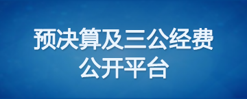 预决算及三公经费 