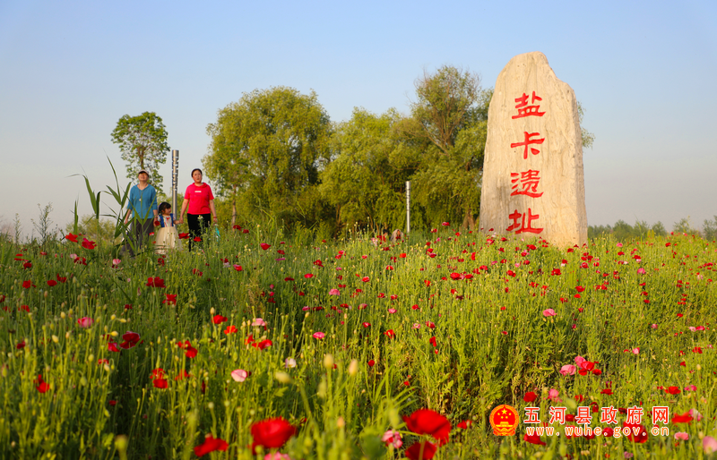 五河淮河老码头盐卡遗址