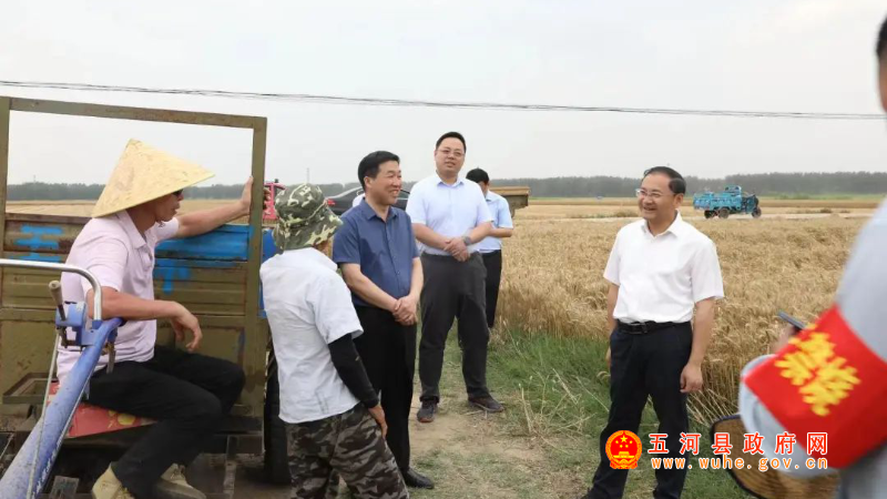 县委书记金胜庆调研夏收工作开展情况