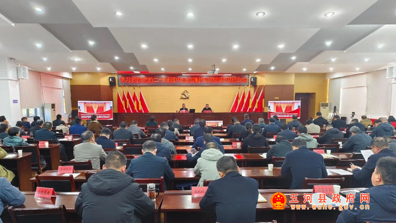 学习贯彻党的二十届四中全会精神市委宣讲团报告会在五河召开